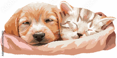 A golden retriever puppy and tabby kitten napping together peacefully