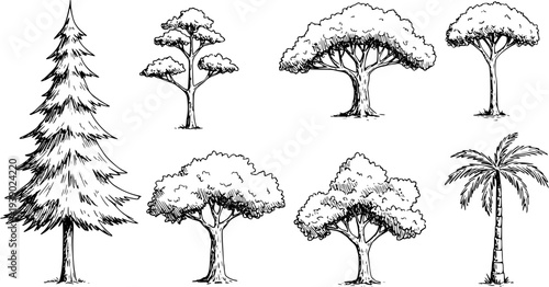 Hand-drawn Nature Trees Vector Set: Black and White Line Art Collection of Diverse Tree Species for Environment and Ecology Design
