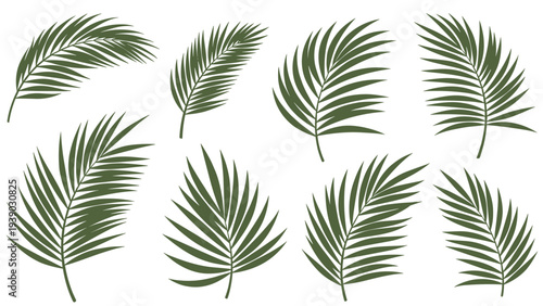 Tropical and vibrant collection of stylized palm leaves in a rich green hue, showcasing various angles and forms, perfect for summer, beach, or exotic-themed designs.