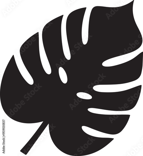 Black Monstera Deliciosa Leaf Vector Illustration isolated on White Background