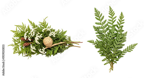Fresh Green Ferns and Foliage Arrangement.