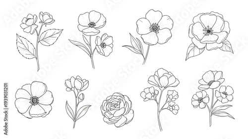 Delicate and detailed collection of hand-drawn outlined flowers, including various blossoms and buds with a subtle dashed line texture, perfect for elegant botanical illustrations.