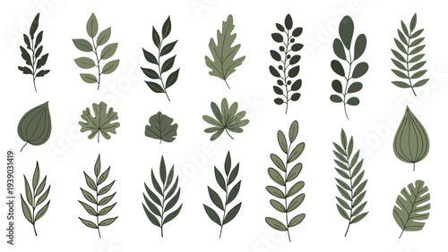 Collection of diverse green leaves and branches in a flat, minimalist illustration style, showcasing a variety of natural forms suitable for botanical designs.