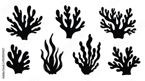 Collection of stark black silhouettes illustrating various types of coral and seaweed, capturing the intricate beauty of underwater flora in a bold, graphic style.