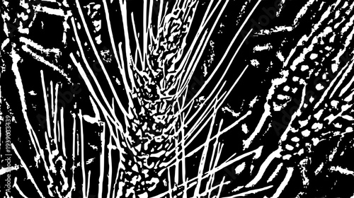 black and white wheat background