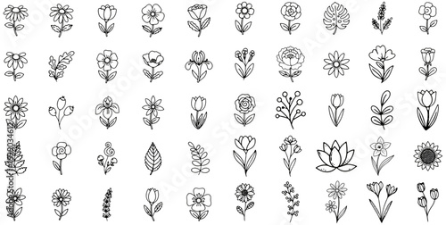 Hand Drawn Flower Icons Set
