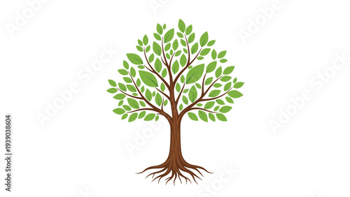 Lush green tree with vibrant leaves and a strong root system standing isolated on a plain white background for design.