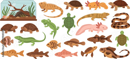 Cartoon Style Aquatic and Amphibious Creatures Including Turtles, Fish, Axolotls, Snakes, and More