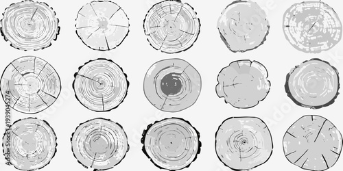 Collection of grayscale tree stump cross sections in varying shapes