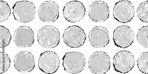 Arrangement of circular tree trunk cross sections against a white background