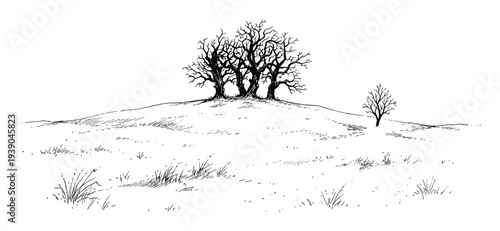 Snow covered hill with bare trees landscape drawing, black and white rural countryside scene with simple nature, illustration.