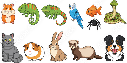 Cartoon Style Pets Including a Hamster, Iguana, Parrot, Fish, Snake, Spider, Cat, Guinea Pig, Rabbit, Ferret, and Dog
