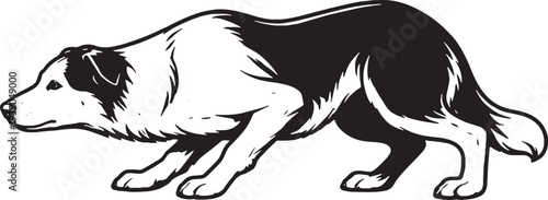 Dog Herding Crouch Stalking Side View Black and White Line Art