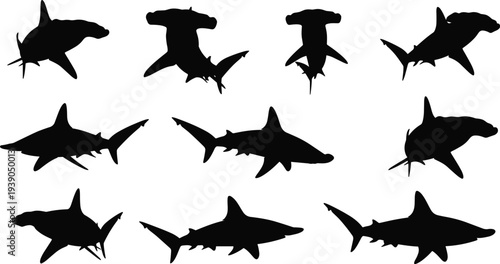 Shark silhouette collection, hammerhead shark icons, marine predator vector artwork, ocean wildlife design set, black and white aquatic animal illustration