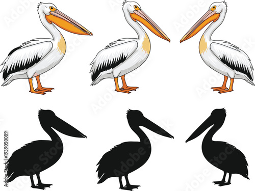 Pelican silhouette matching puzzle, bird illustration set, educational wildlife design, cognitive visual exercise, black and white vector artwork icons