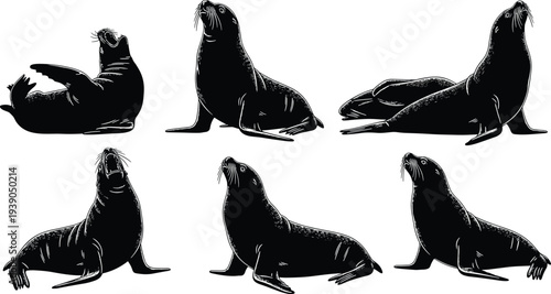 Sea lion silhouette collection, marine animal illustration set, ocean wildlife design icons, black and white vector artwork, aquatic mammal poses
