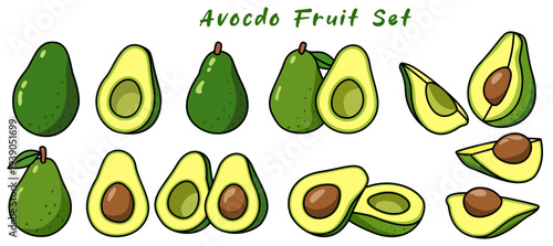 Avocado fruit set showcases various stages of this nutritious fruit, highlighting its vibrant green color and unique shape. Each piece represents beauty and versatility of avocados culinary