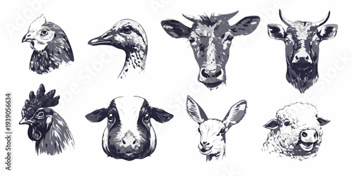 Illustrative collection of farm animal heads in monochromatic style