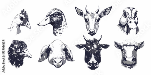 A collection of sketched animal heads ducks goats cows ravens and sheep