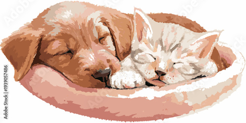 Sleeping puppy and kitten curled up together in a soft bed