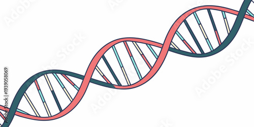 A stylized illustration of the double helix structure of deoxyribonucleic acid (dna).
