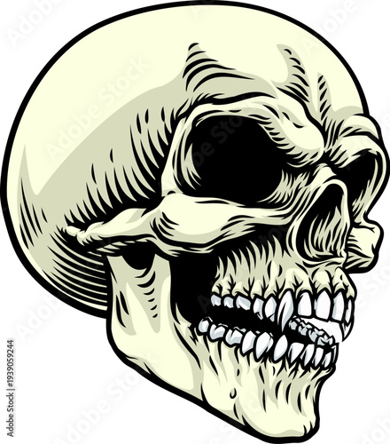Horror human skull head illustration drawing in vintage woodcut engraving style. Detailed macabre skeleton face with sharp teeth and hollow eye socket. Gothic dark artwork isolated on white background