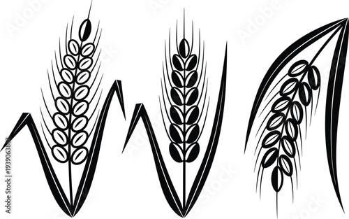 Black wheat stalks and grain ears silhouette set for agricultural branding, organic bakery logos, farming harvest icons, and cereal plant illustrations.