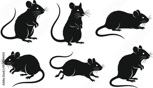 Black, rat, silhouette, collection, mouse, set, rodent, vector, illustration, wildlife, pest, animal, standing, running, sitting, whiskers, tail, isolated, white, background