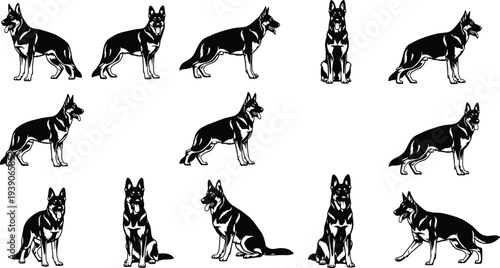 Collection of Black German Shepherd Dog Silhouettes in Various Poses, Standing and Sitting K9 Police Breed Shapes Isolated on White