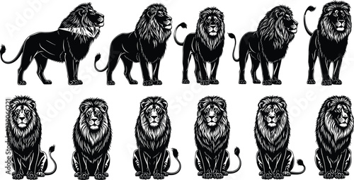 Collection of black lion silhouettes in various standing and sitting poses, heraldic king predator mascot icons isolated on white background