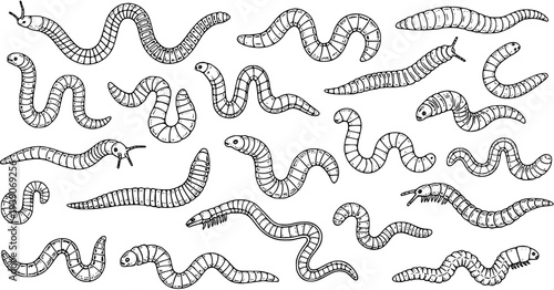 Hand-drawn doodle set of various segmented worms, caterpillars, and insect larvae on white background