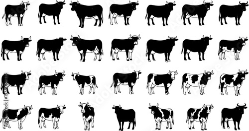 Diverse collection of cow and cattle illustrations featuring black silhouettes and spotted black and white designs. Vector art of farm animals in various poses for icons.