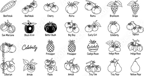 Variety of Fruits and Vegetables Black and White Line Art Illustration: Tomatoes, Pears, Grapes, Pineapples