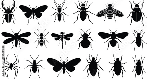 Black Insect Silhouette Collection Featuring Beetles Butterflies Spiders Ants and Bees Isolated Icons for Nature Science and Educational Vector Design