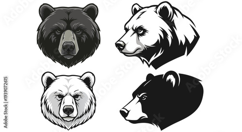 Set of four wild bear heads in vector illustration style, bold and graphic design elements