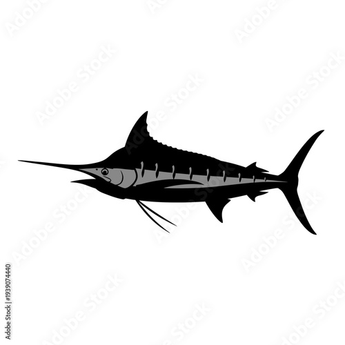 Silhouette of a majestic marlin fish isolated on a white background.