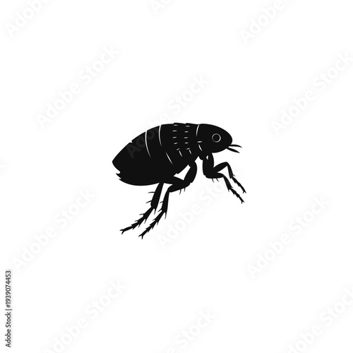 Black and white illustration of a flea insect on a white background.