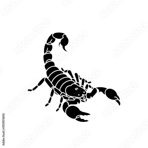 Black scorpion silhouette isolated on white background, vector illustration.