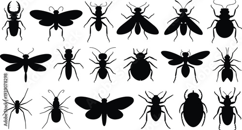 Set of black insect silhouettes including butterfly beetle spider ant bee dragonfly mosquito and fly isolated on white background vector illustration