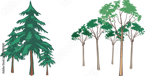 Stylized trees including pine and deciduous varieties on transparent background