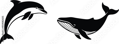 Black and white illustration of a dolphin and a whale