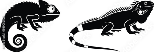 Two black and white illustrations of chameleons in profile