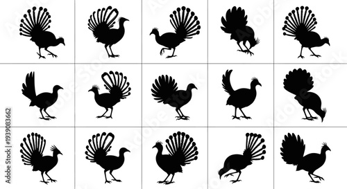 Collection of black turkey silhouettes in various poses on white background for design and decoration