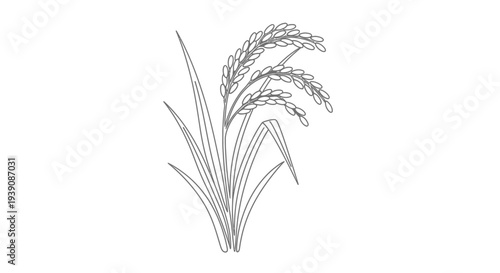 Detailed Illustration of Wheat Plant.
