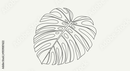 Monstera Leaf Simple Line Art Design.