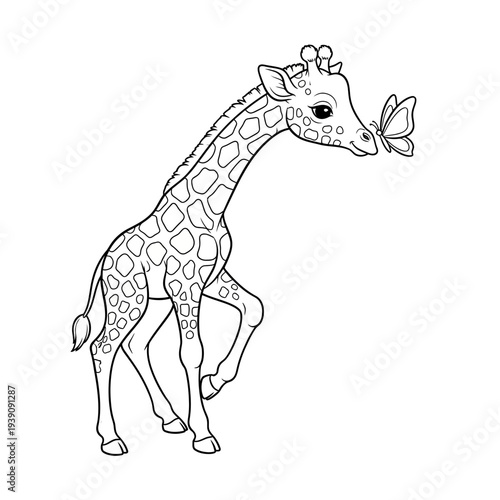 Giraffe and butterfly illustration