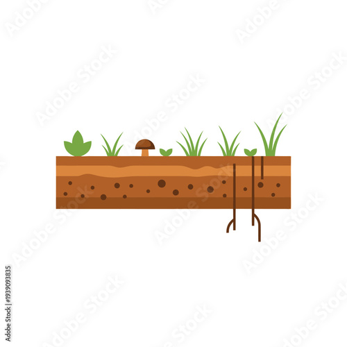 Soil cross section with plants, grass, mushroom and roots