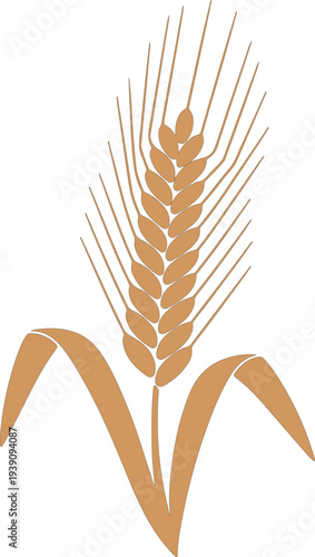 Wheat ear grain agriculture harvest plant farm icon