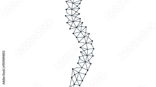 Abstract geometric spine illustration composed of connected lines and nodes