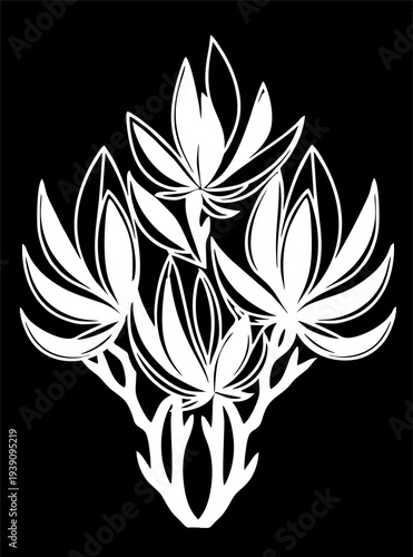 Simple white graphic drawing of magnoli flower against black background, logo